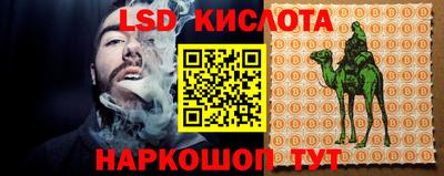 PSILOCYBIN Туймазы